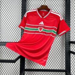 2026 Wales Home World Cup Football Jersey