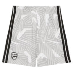 Arsenal Goalkeeper Shorts 26/27 - Grey