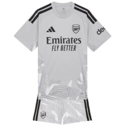 Arsenal Goalkeeper Kids Kit 26/27 - Grey