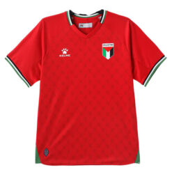 Palestine Away Shirt 24/25