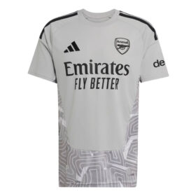 Arsenal Goalkeeper Shirt 26/27 - Grey