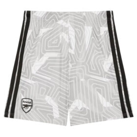 Arsenal Goalkeeper Shorts 26/27 - Grey