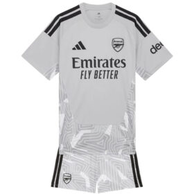 Arsenal Goalkeeper Kids Kit 26/27 - Grey