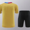 2024/2025 Barcelona pre-match training Glod Shirt+Shorts 1:1 Thai Quality - Detail 2