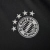 2024/2025 Bayern Munich Training Wear Football Jersey 1:1 Thai Quality - Detail 2