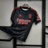 2024/2025 Benfica Away Football Shirt 1:1 Thai Quality - Detail 2