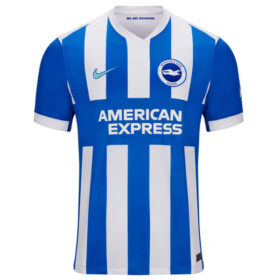 Brighton & Hove Albion Home Player Version Shirt 25/26