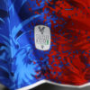 2024/2025 Crystal Palace Home Football Shirt 1:1 Thai Quality – Player Version - Detail 7