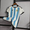 2022 FIFA World Cup Argentina National Team Jersey Home - Detail 2