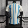 2022 FIFA World Cup Argentina National Team Jersey Home – Player Version - Detail 1