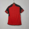 2022 FIFA World Cup Belgium Home Soccer Shirt - Detail 1