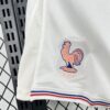 2026 France Away World Cup Shorts - Detail 3