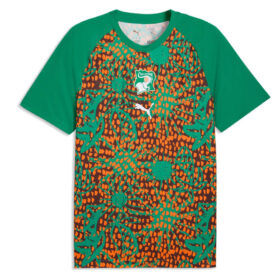 Ivory Coast Pre Match Training Top