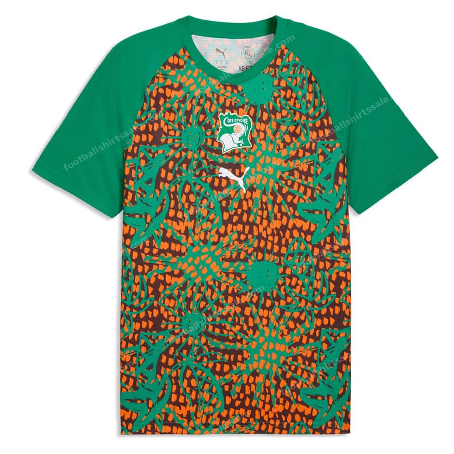 Ivory Coast Pre Match Training Top