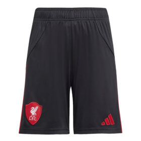Liverpool Away Shorts 25/26