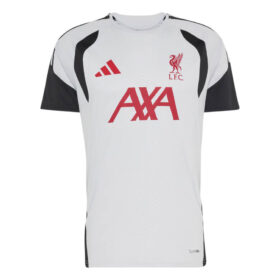 Liverpool Pre-Match Training Top - Dash Grey