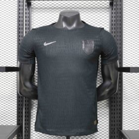 2026  Norway World Cup Away Player Version Jersey