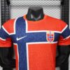 2026 Norway World Cup Home Player Version Jersey - Detail 2