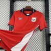 2026 Panama World Cup Home Football Jersey - Detail 6