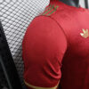 2024/2025 Player Version Bayern Munchen 125th Anniversary Football Shirt 1:1 - Detail 7