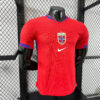 2025 Player Version Norway National Team Home Football Jersey - Detail 2