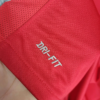 2010 Retro Portugal Home Football Shirt 1:1 Thai Quality - Detail 6