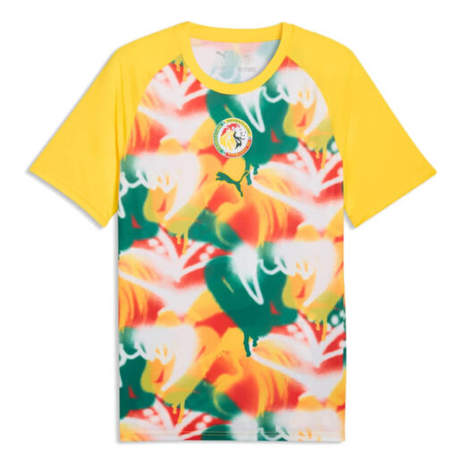 Senegal Pre Match Training Top