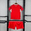 2026 Switzerland Home World Cup Football Jersey Kids Size - Detail 5