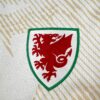 2026 Wales Away World Cup Football Jersey - Detail 2