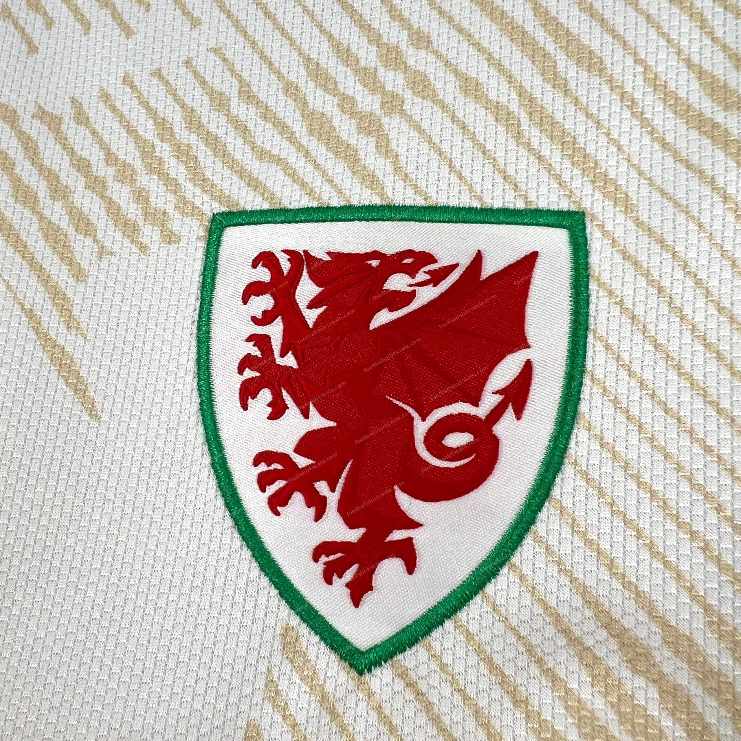 2026 Wales Away World Cup Football Jersey - Detail 2