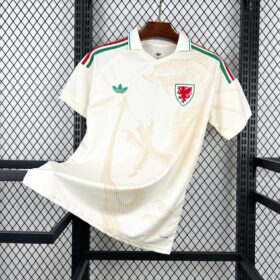 2026 Wales Away World Cup Football Jersey