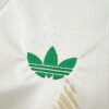 2026 Wales Away World Cup Football Jersey - Detail 3