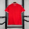 2026 Wales Home World Cup Football Jersey - Detail 1