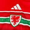 2026 Wales Home World Cup Football Jersey - Detail 2