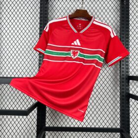 2026 Wales Home World Cup Football Jersey