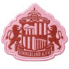 Sunderland Away Sunderland Football Shirt 26/27 - Detail 1